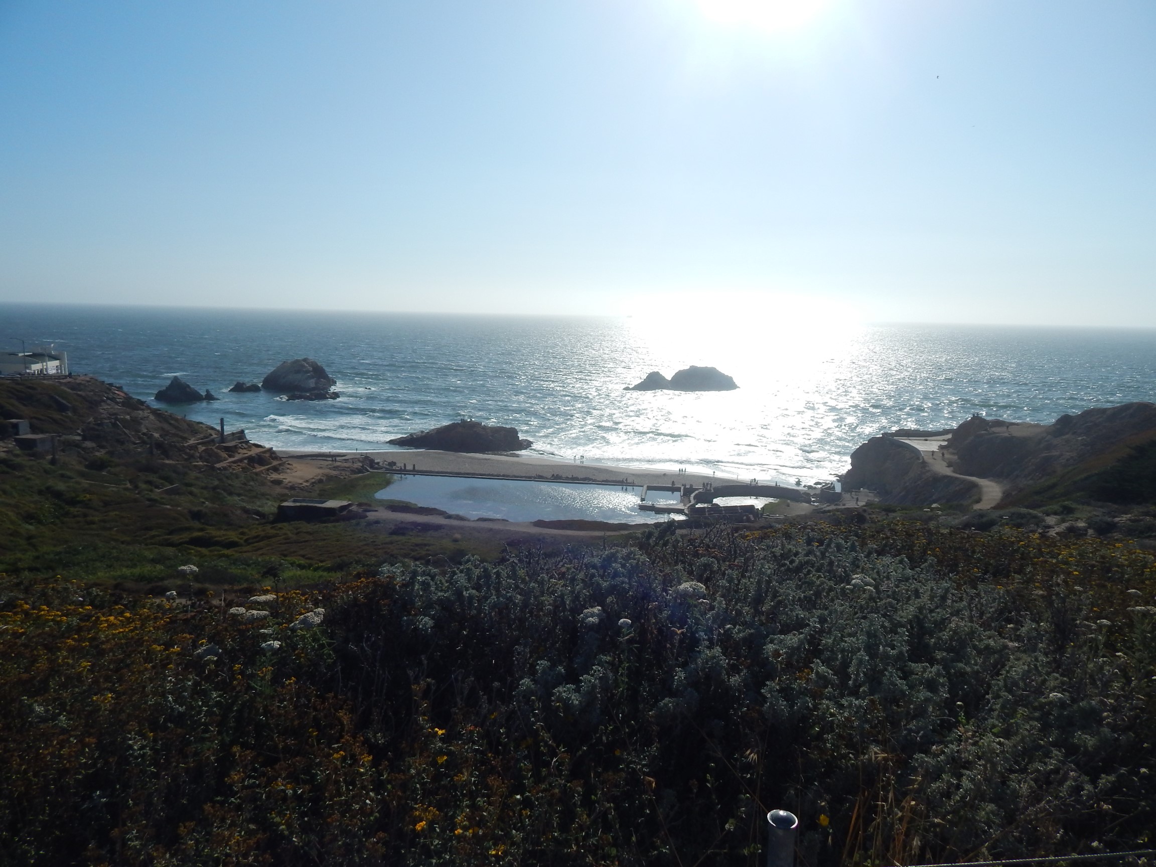 Point Lobos San Francisco