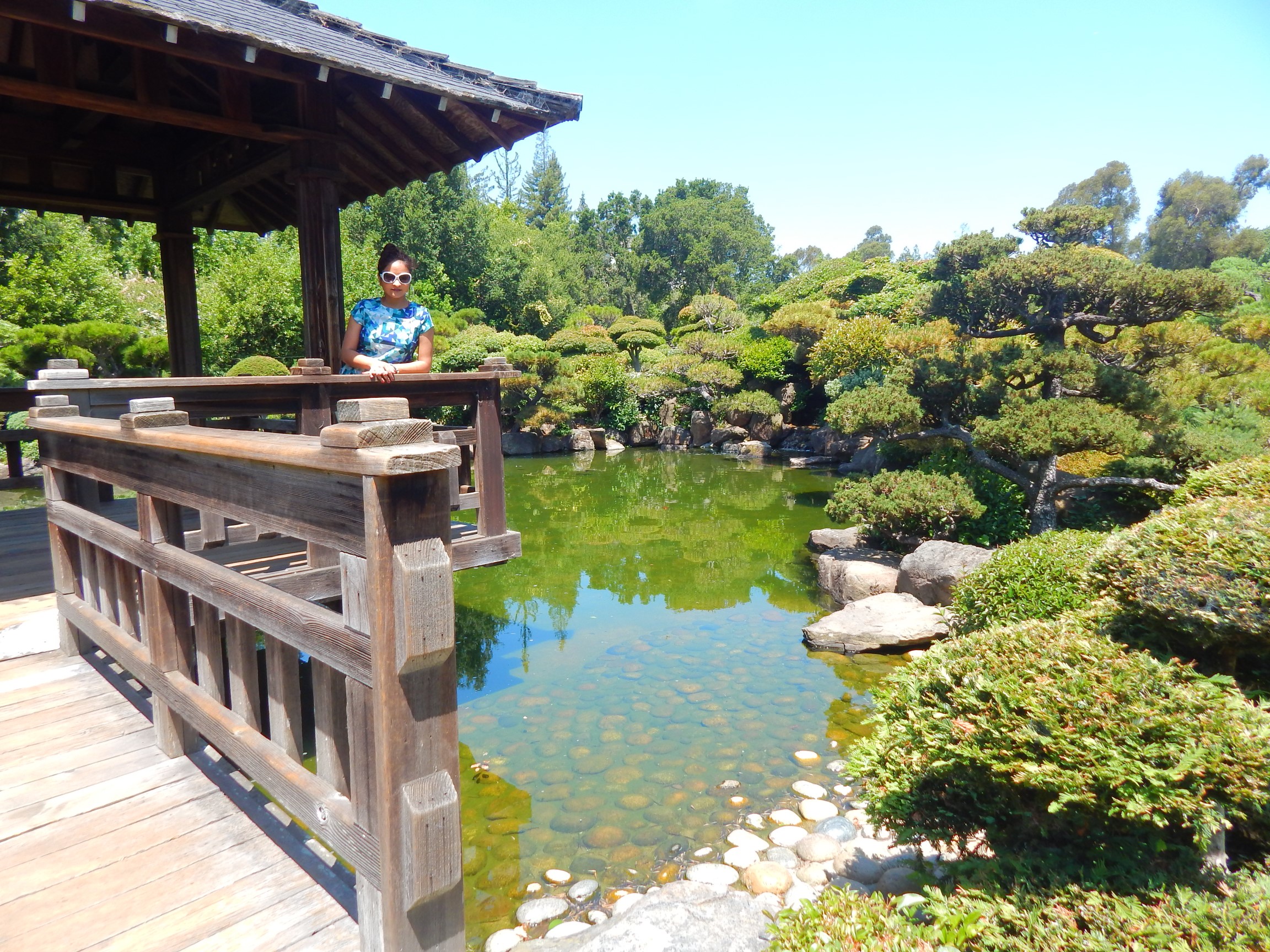 Must Visit In Bay Area Hayward Japanese Garden