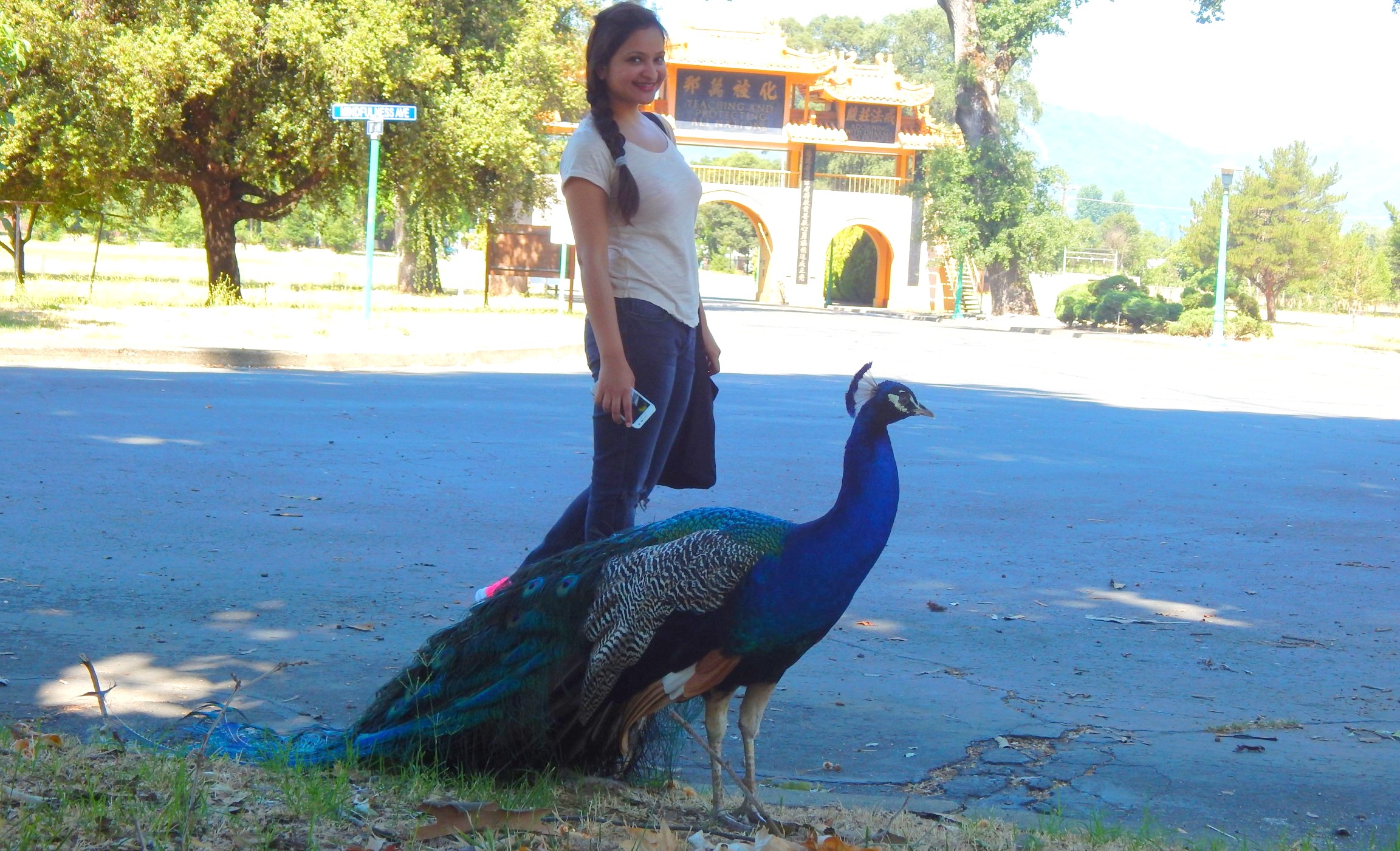 City of Ten Thousand Buddhas